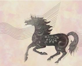 Silk Road Exhibition
