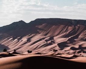 Xposure-Maraya-Website-thumbnail.jpg
