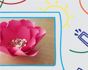paperflower_maraya-thumbnail.jpg