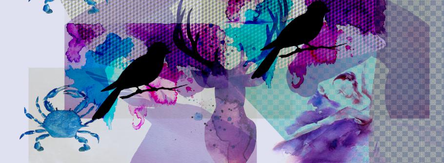 Maraya-HeaderDIYWATERCOLOR.jpg
