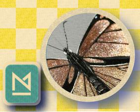 Butterfly_Thumbnail.jpg